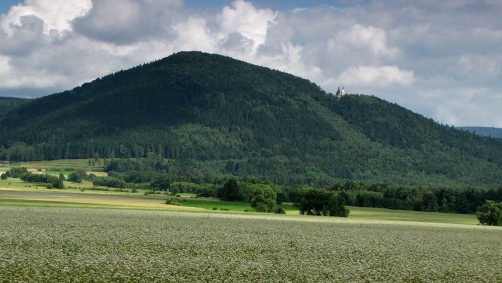 Agroturystyka Pod Sniezna Bystrzyca Kłodzka Exterior foto